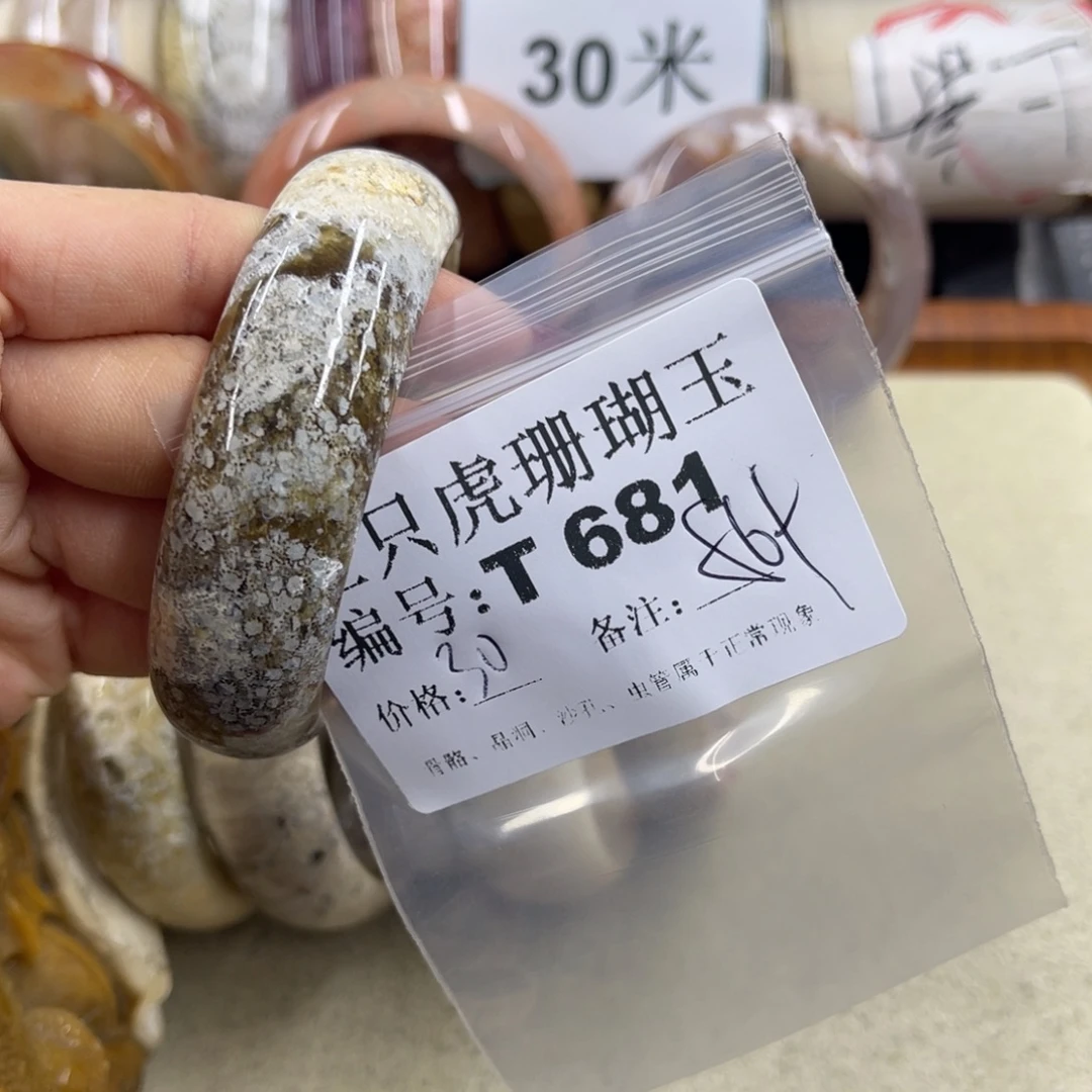 L***在硅化珊瑚（珊瑚玉）未镶嵌h