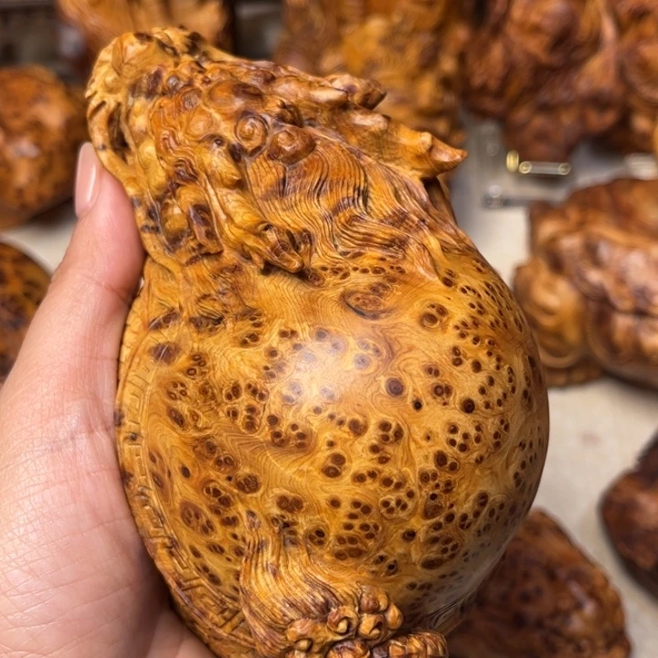 抱***真柏木太行崖柏黑金瘤龙龟