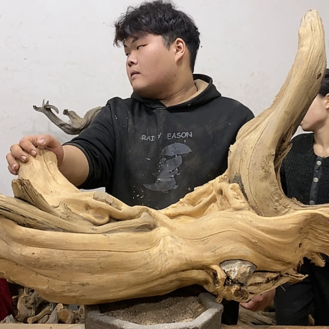 【闪购商品】柏木上****签我们都是好孩子