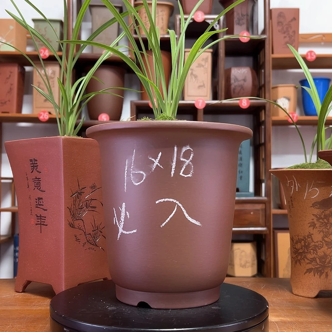 紫砂花盆周之夏精品紫砂花盆