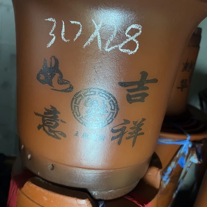周深周深周深周深周深周深