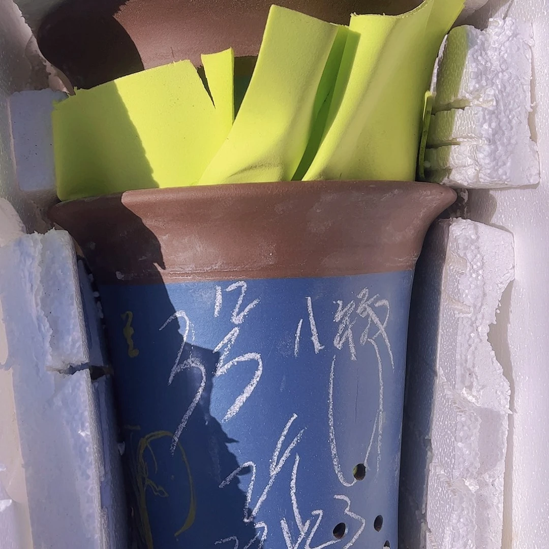 紫砂3号………………………………