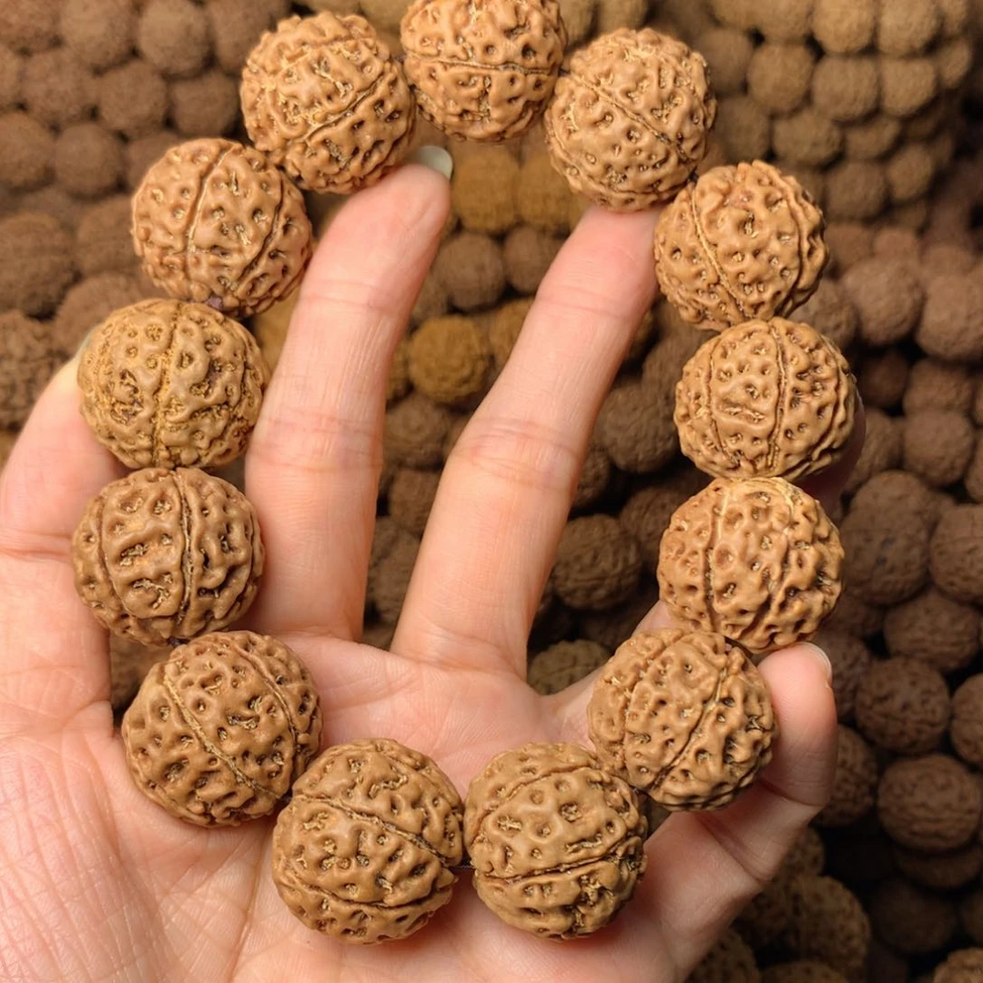 木7瓣爆肉卡23尺，20号