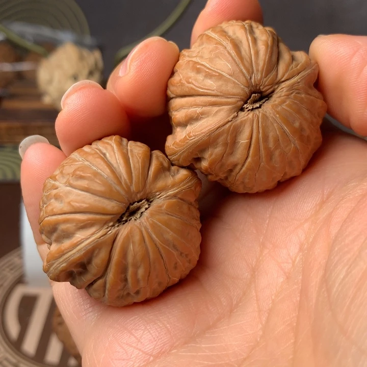 w***n铁锤401根装在小盆