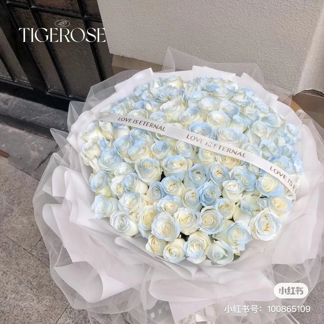 99朵碎冰蓝喷色玫瑰花束