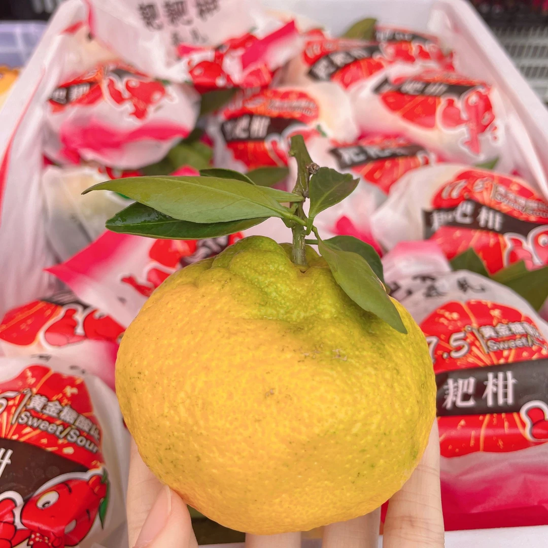 【旺物甄选】耙耙柑 500g（±50）云南省