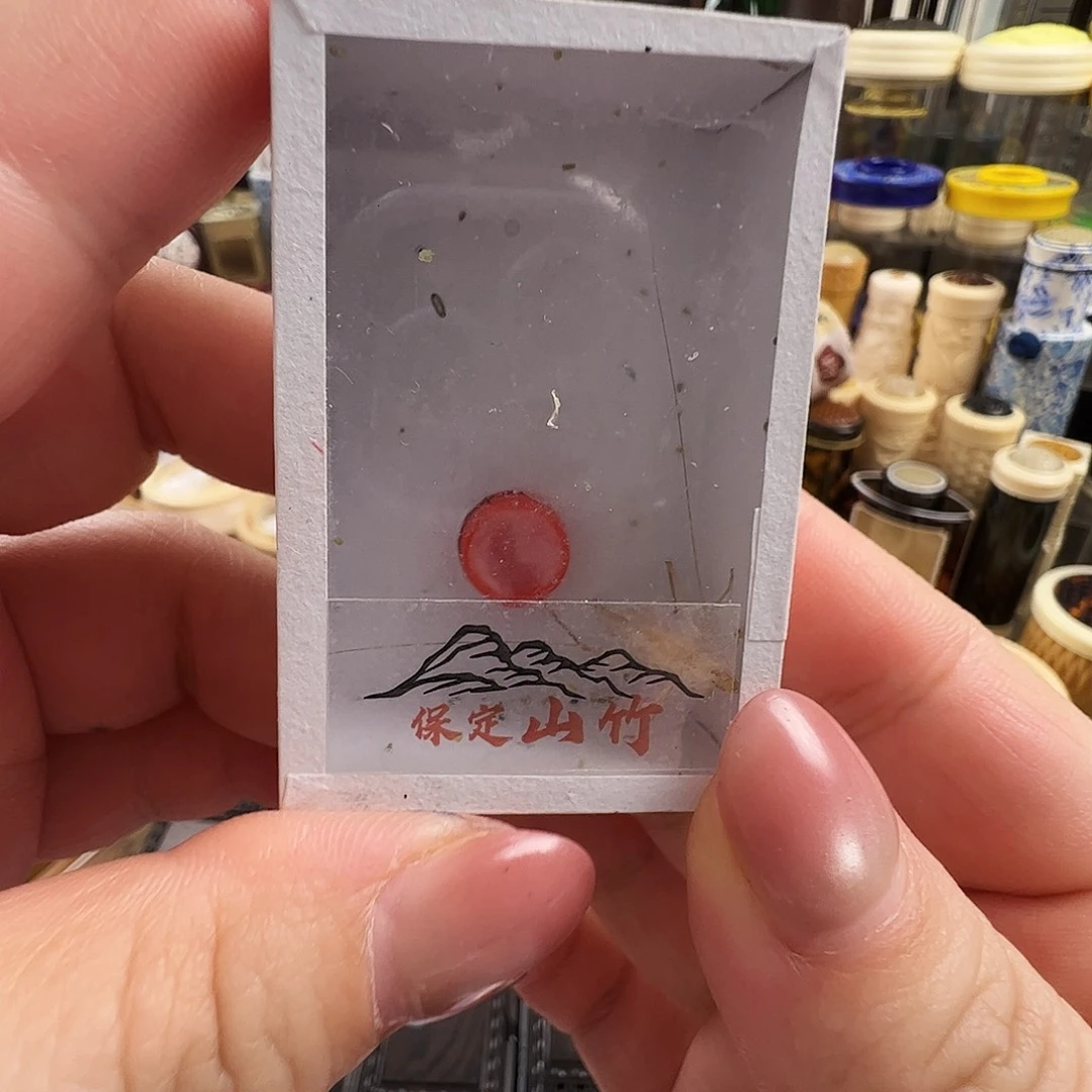 哈哈哈保定山竹蛉两个