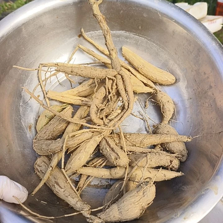 如***意小瓜一堆送苗一颗