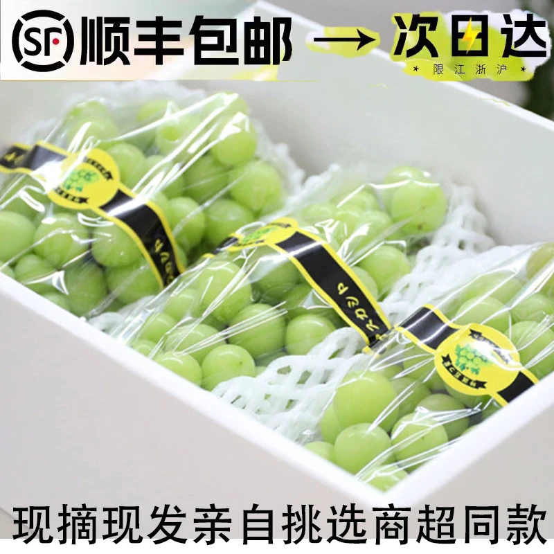 正宗阳光玫瑰葡萄新鲜应季无籽脆甜多汁带玫瑰香现摘现发孕妇顺丰