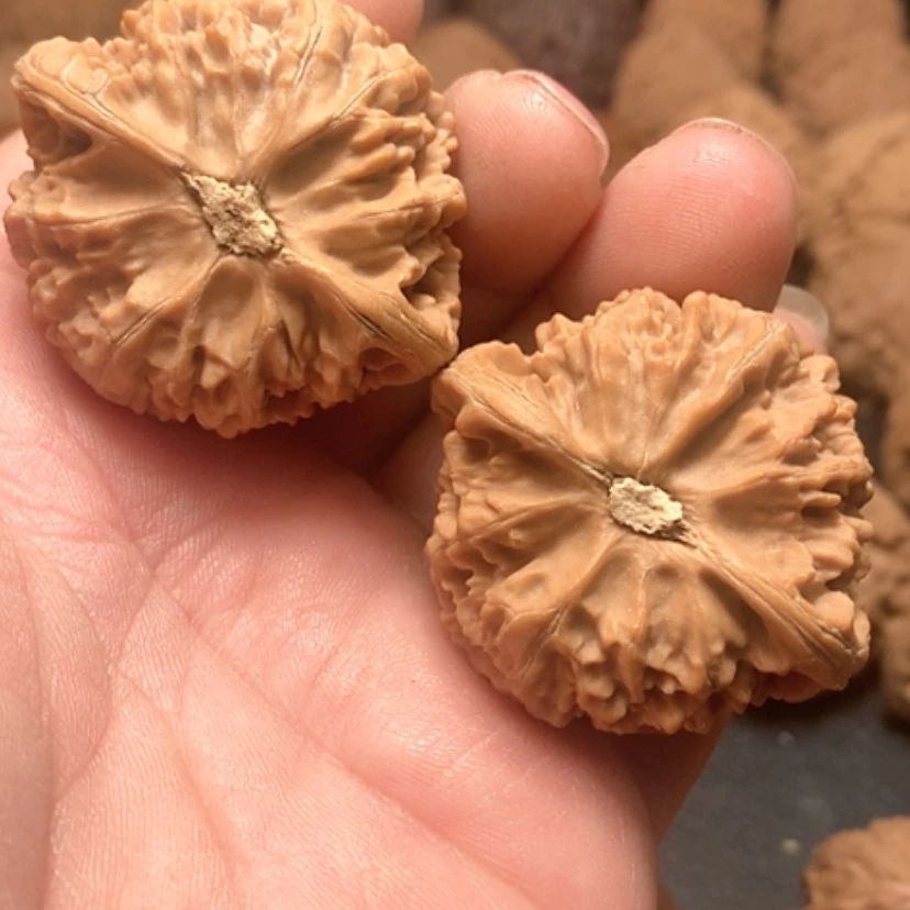 【闪购商品】柚*茶宫灯