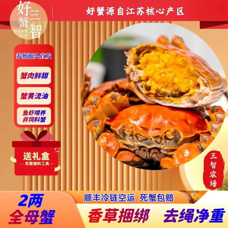 【活蟹鲜活】江苏三智农场大闸蟹【母蟹】【礼盒装】2两8只10只12只装