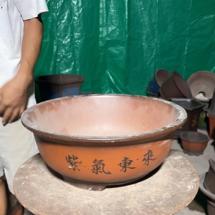 无花朵大红花盆花盆花盆花盆