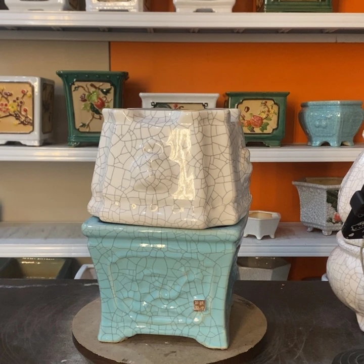 红陶@*花盆里的小猫咪