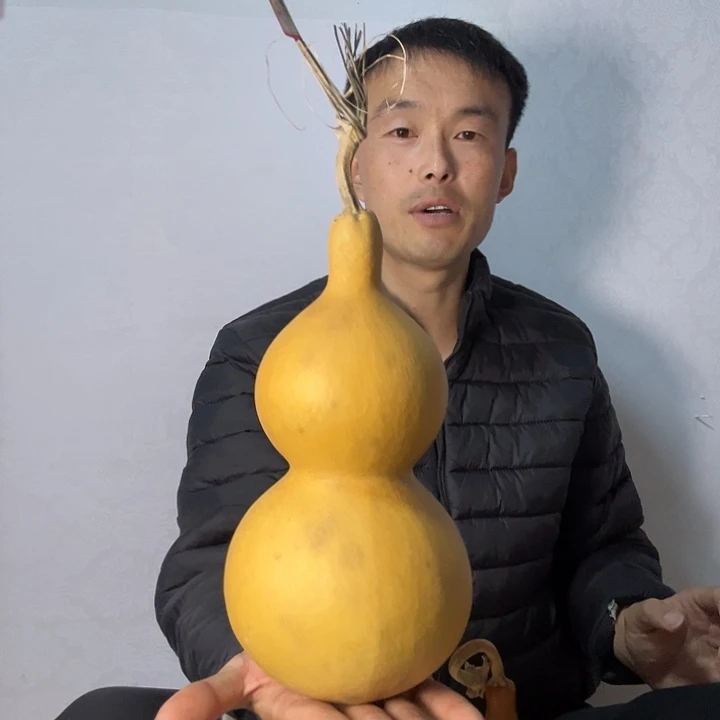 六***六葫芦8585555285858528