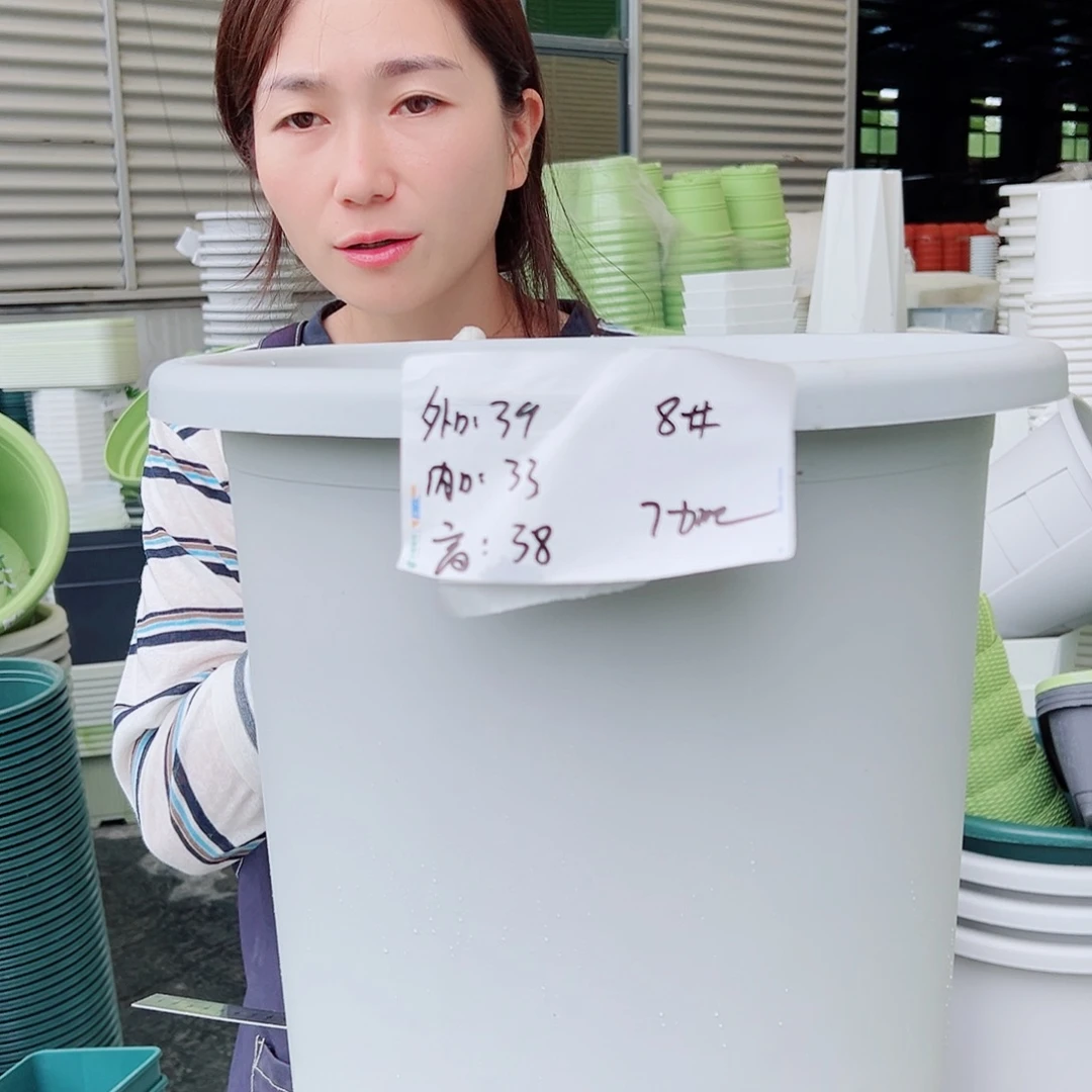 四季盆8#灰白3个无托