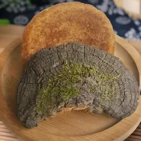 整块桑黄深山特产山货250克/500克 泡水喝 JM（团）