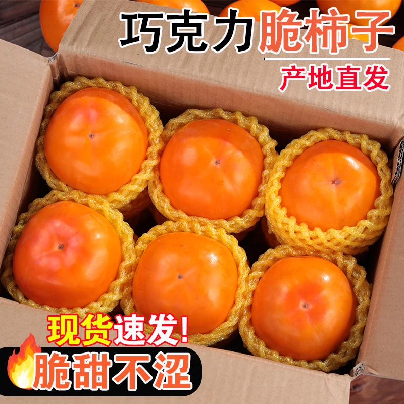 新鲜应季山西巧克力脆甜柿子5斤大果带箱现摘脆甜多汁不涩口水果