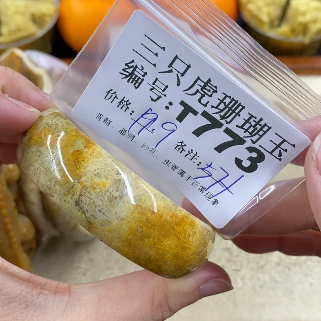 硅化珊瑚（珊瑚玉）1未镶嵌用****舞