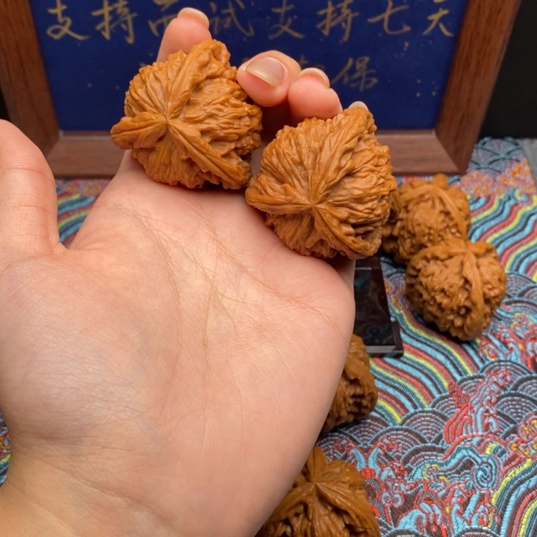 【闪购商品】岁**漏白狮