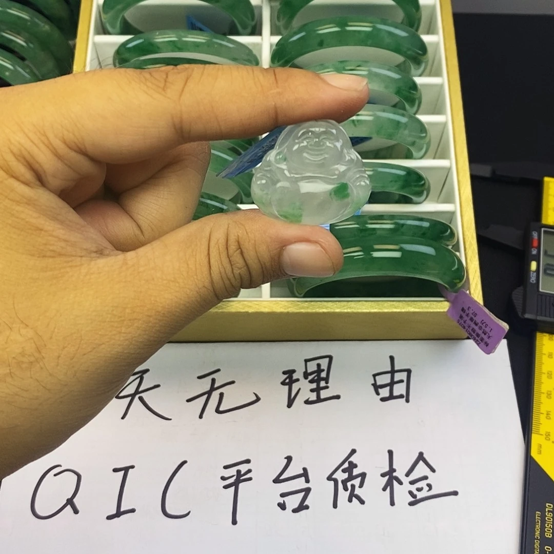 石英质玉（非洲翠）未镶嵌颈饰777