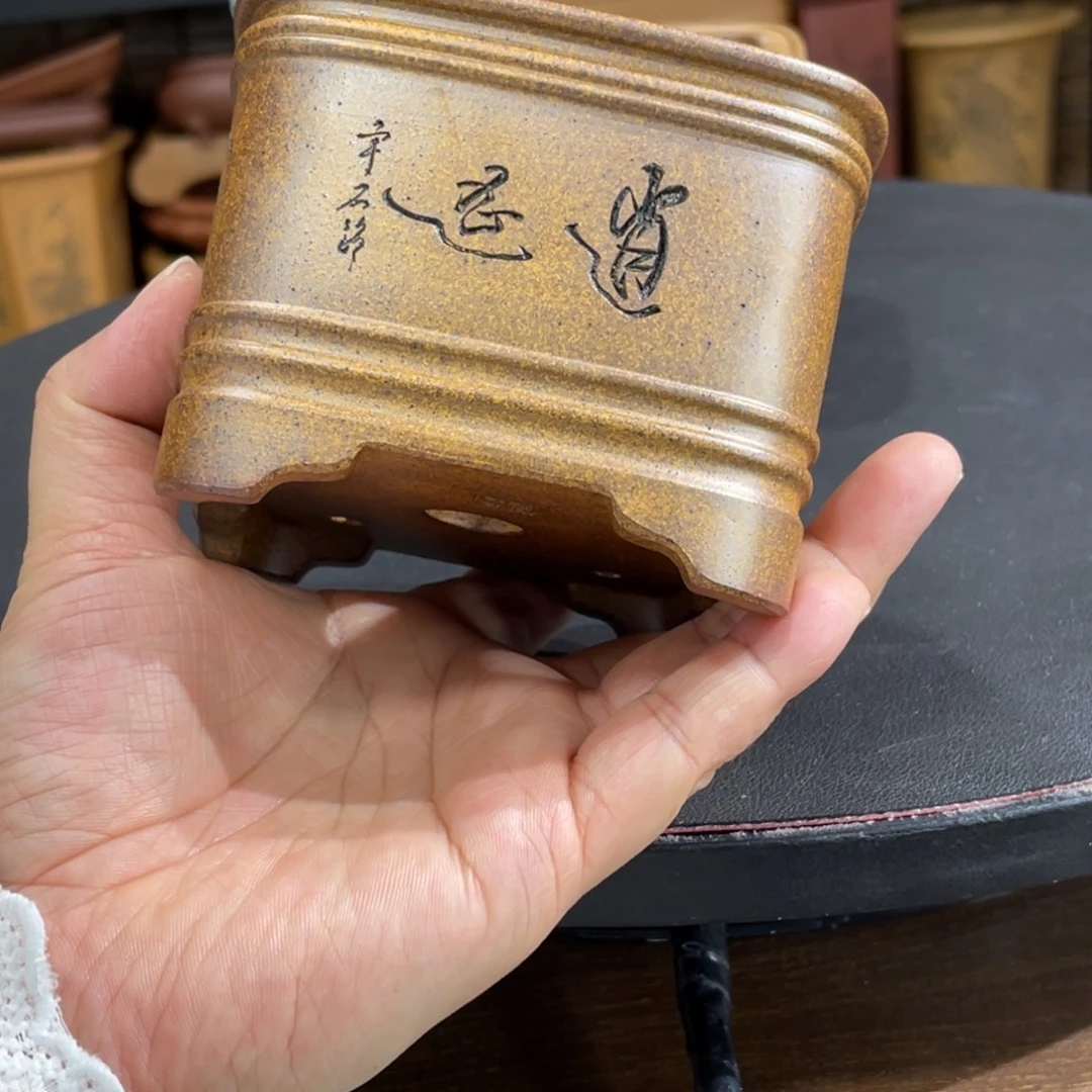 花盆紫砂紫砂花盆在这里