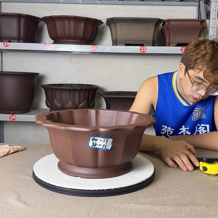 紫砂花盆哈哈哈哈