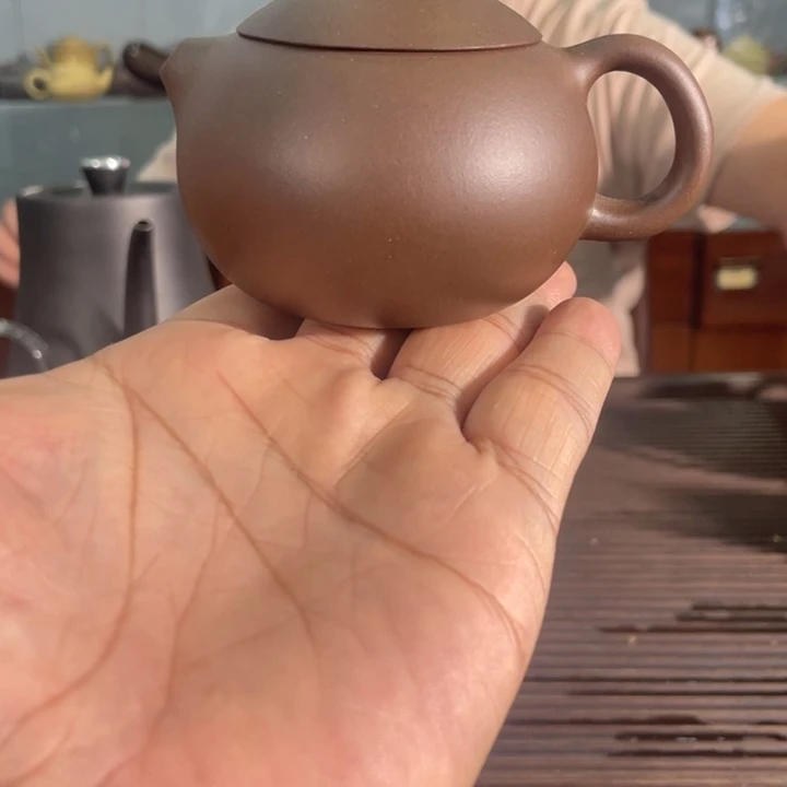 茶壶紫砂哈哈哈哈哈这个综艺节目真的