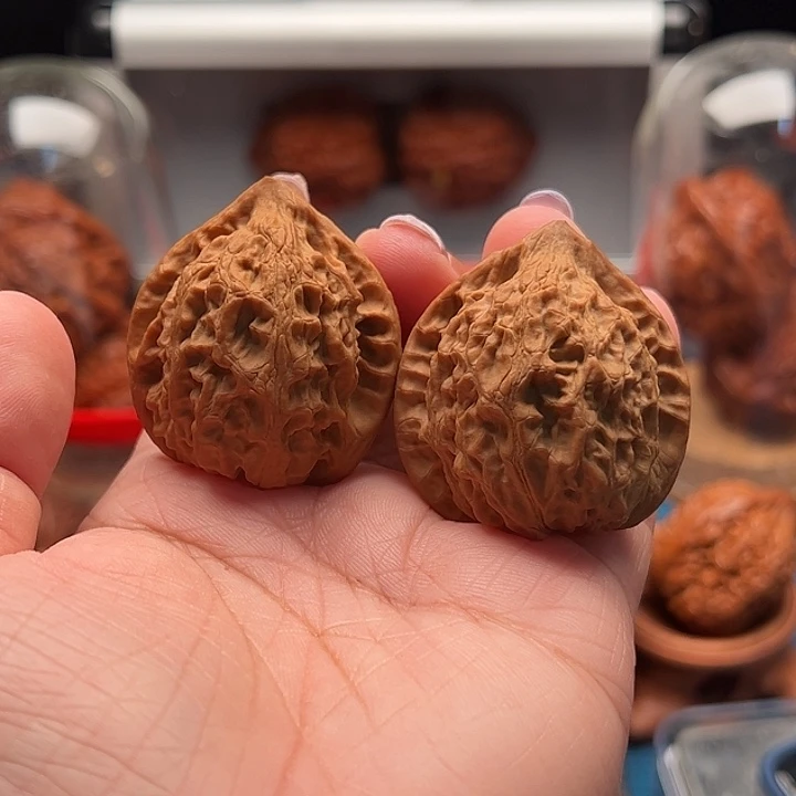 文玩核桃把件金牛 全品老果