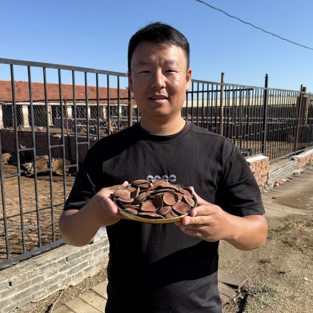 梅花鹿红粉片头茬主角大片 煲汤煲粥泡酒养生茶源头基地 自有鹿场