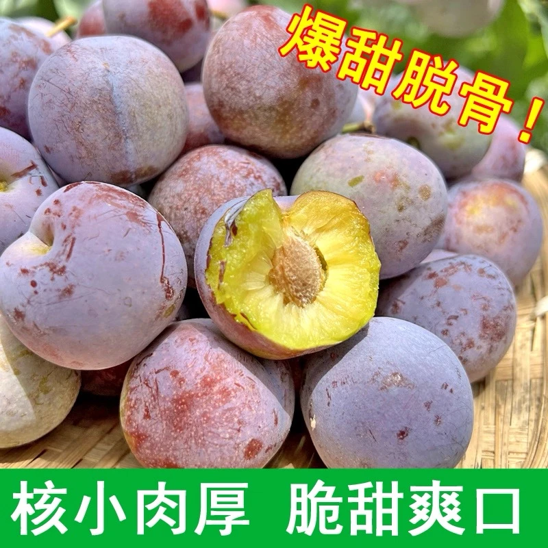 正宗四川脱骨李脆红李茵红李脆红李新鲜应季脆甜李子现摘现发