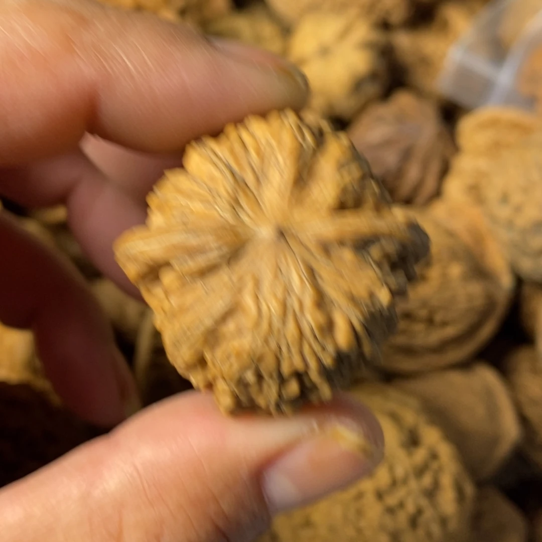 后***生大叶紫檀（黑酸枝木类）