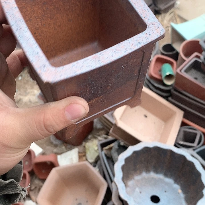 紫砂优秀青年科技