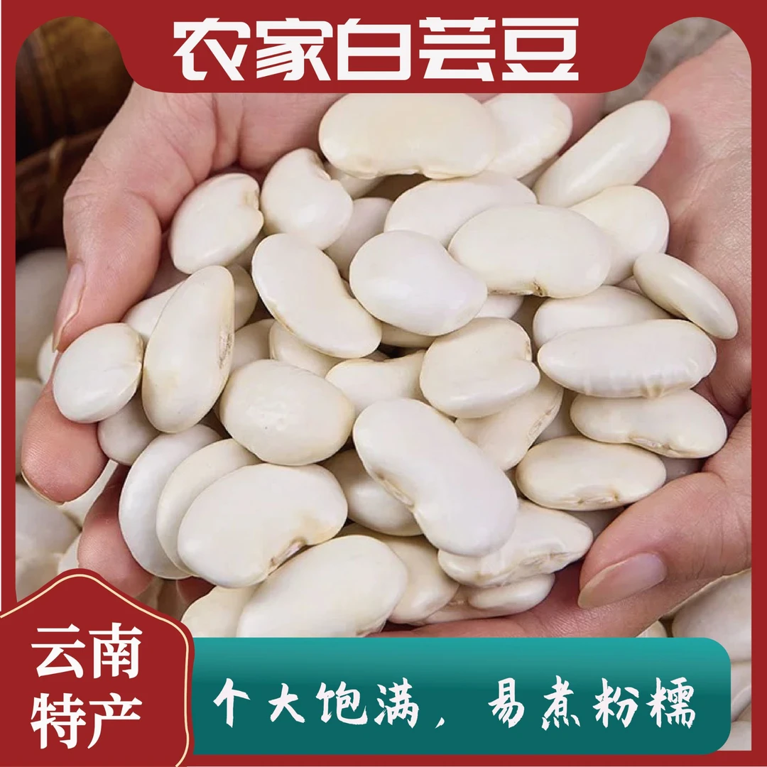 正宗云南白芸豆新货大白芸豆五谷杂粮豆类干货猪脚炖汤搭档芸豆