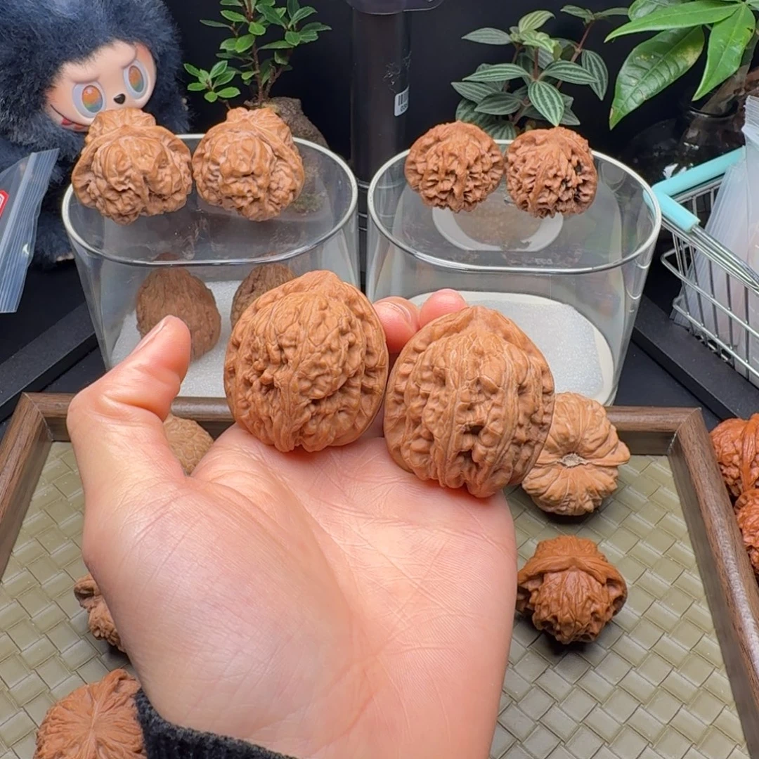 龙脊菩提把件全品赤龙鸡心39