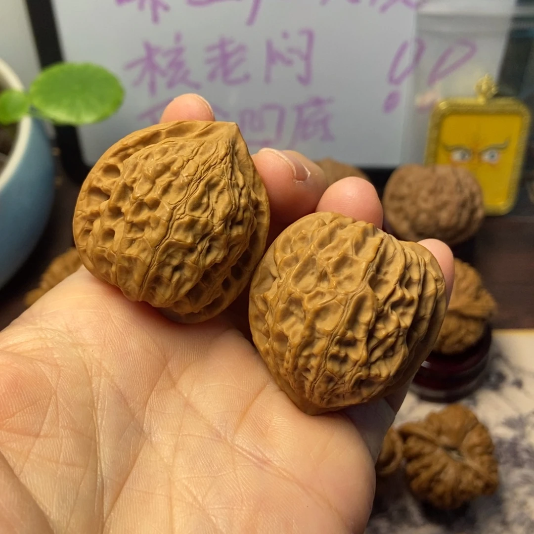 文玩核桃把件全品金牛37