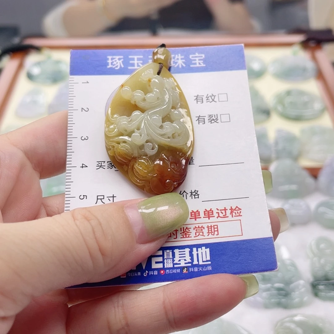 颈饰未镶嵌翡翠龙牌