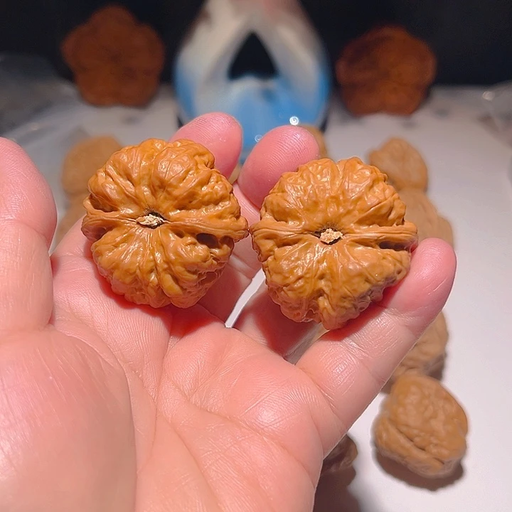 不***儿把件龙脊菩提文玩核桃