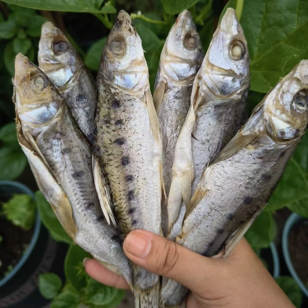 河南特产马鲫鱼干花骨鱼干激浪鱼麻鱼重唇鱼花姑娘棍子鱼低盐秘制