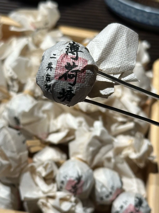 2025年 薄荷塘二类