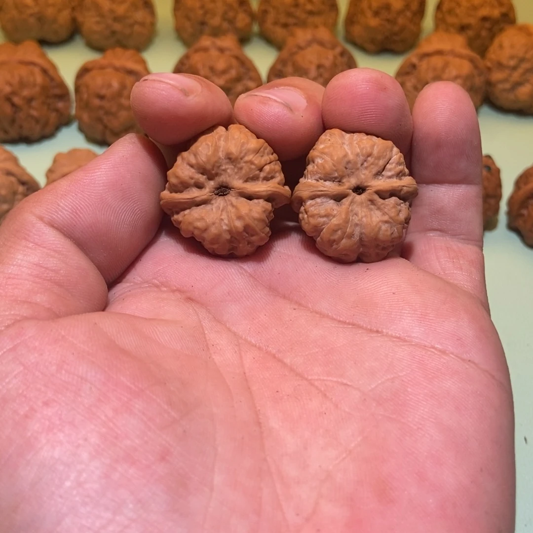 核桃手串/手链M****Z蛤蟆头28全品