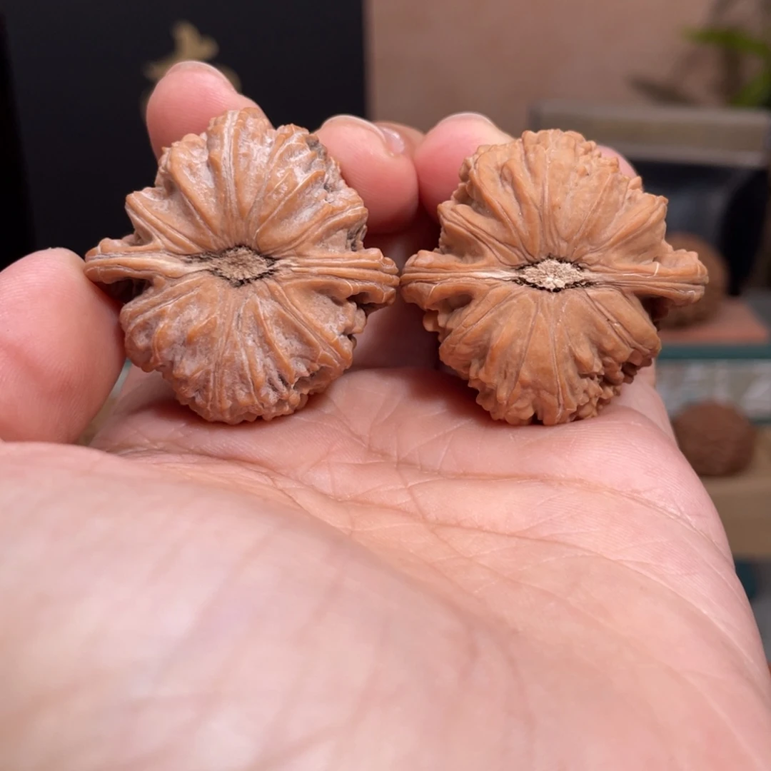 把件文玩核桃39白狮子