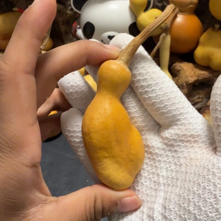 刘***瑕疵666666666666