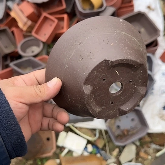 是的呀哈哈是这样哈哈不错了这个