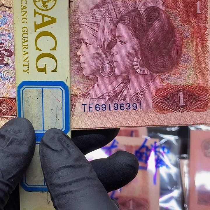 801七大龙单张组合