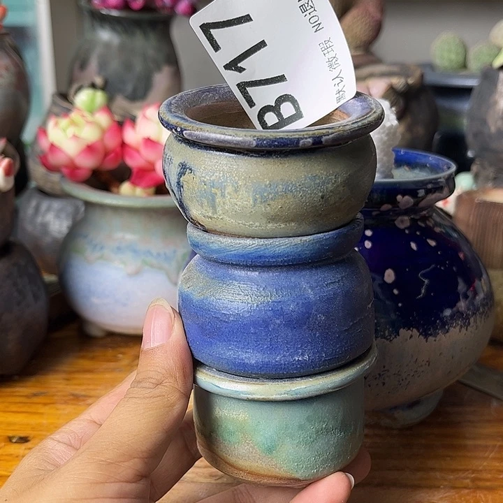 重庆小燕子欢迎大家一起717