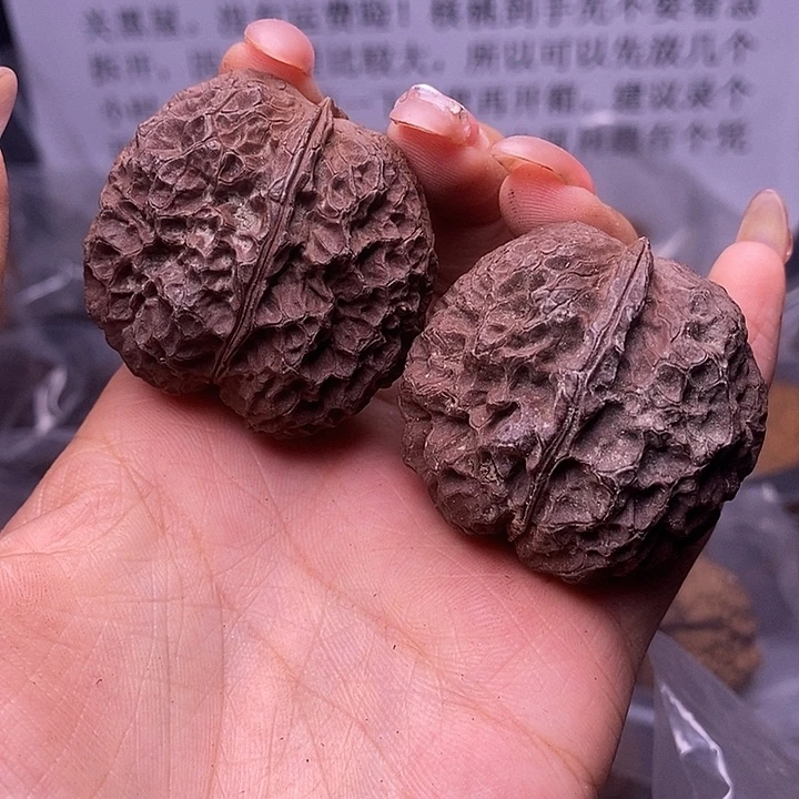 核桃云南野生铁核桃100号41mm