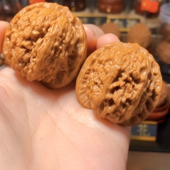 野生小众：蚂蚁沟全品