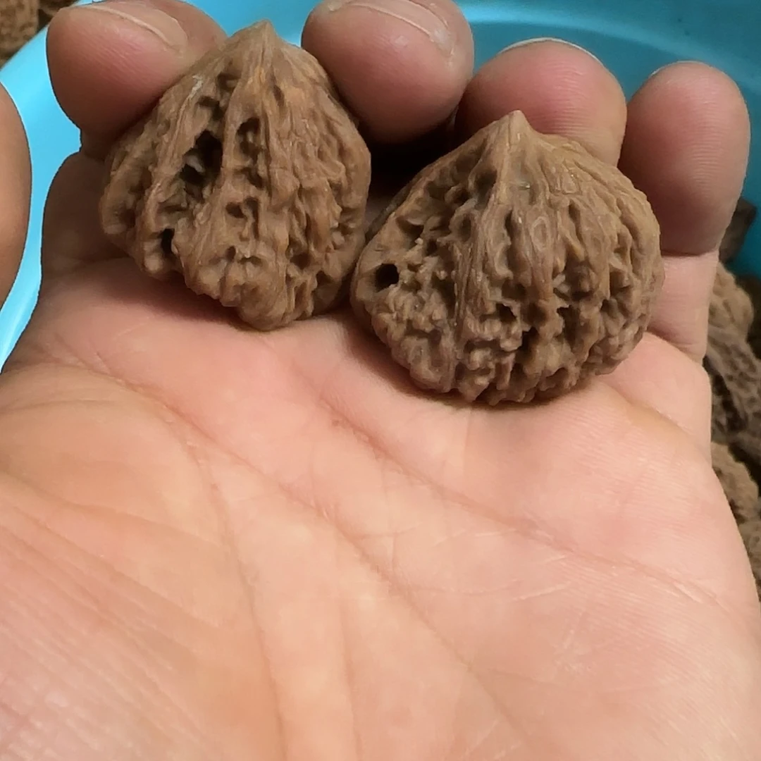 星***期文玩核桃把件南疆一帆风顺买一送一，打孔不退不换