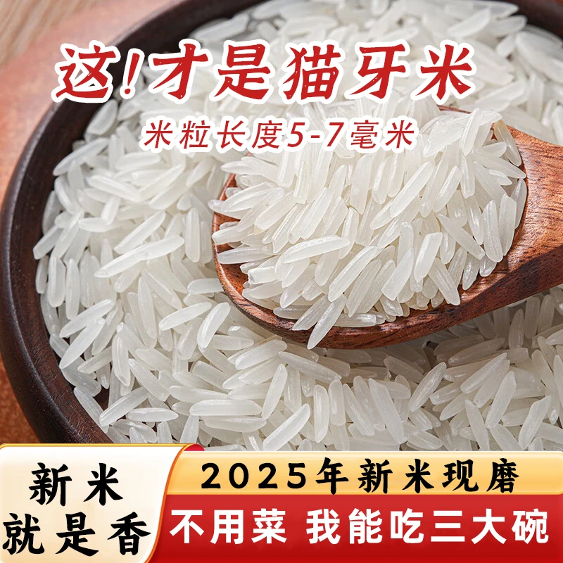 10斤5斤猫牙米正宗猫牙长粒香米优质大米籼米新米好吃5kg真空包装