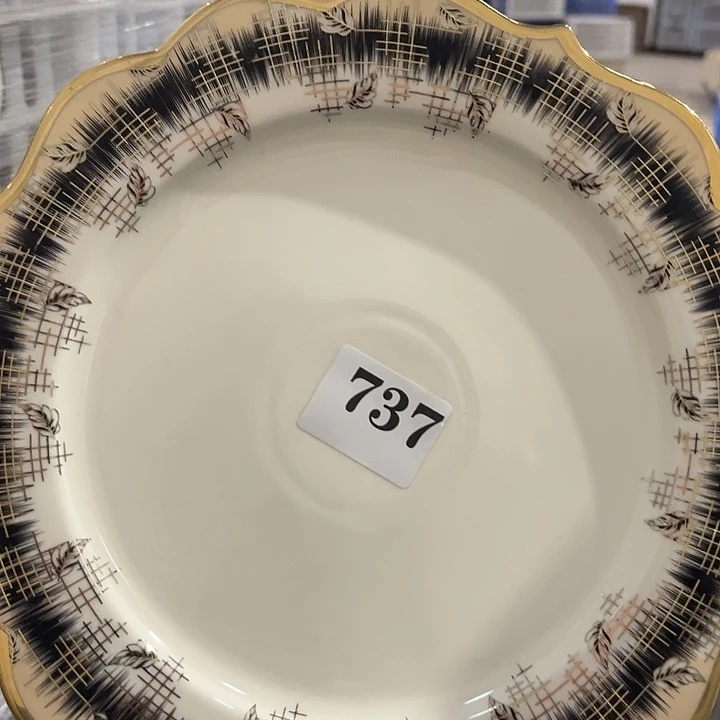 陶1个737大号111111111111111